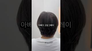 #고잉그레이 #그레이헤어 #부천고잉그레이 #부천미용실 #염색변신 #아베다염색 #아베다살롱 #새치염색 #프리미엄염색  #염색과정   #그레이컬러   #아베다살롱부천