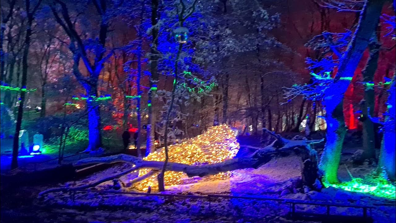 Magical Woodland at Christmas YouTube