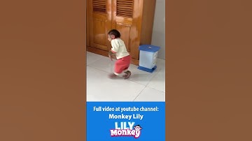 Dad misunderstood Lily P6 #shorts #short #monkey