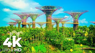 Singapore Ambient Atmosphere with Choir Sounds Meditation Sleep Relaxing time