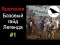 Базовый продвинутый гайд на Бретонию для легендарной сложности | Total War: Warhammer 2