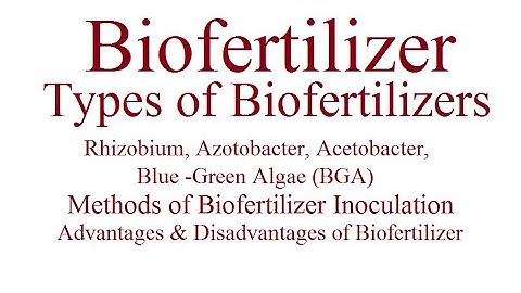 Biofertilizer | Agro-Biotechnology | Biofertilizer inoculation