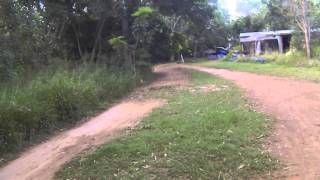 Ken Roczen replica RC dirt bike jumping session