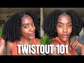 HOW TO GET THE PERFECT TWISTOUT EVERY TIME!! My TIPS/TRICKS! Sis let me help you! PT 1