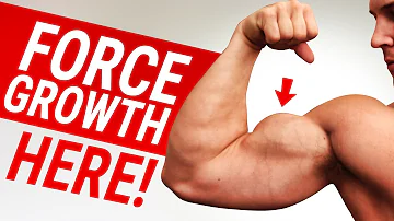 How can I increase my biceps size?