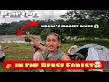 One Night In The Jungle в є Best Place In Tuting рџ Ќ Arunachal Pradesh Tibet Border One Night In The Jungle в є Best Place In Tuting рџ Ќ Arunachal Pradesh Tibet Border