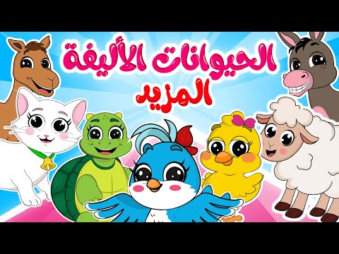 الحيوانات الأليفة والمزيد في مجموعة من أغاني الحيوانات اللطيفة من قناة ألوان