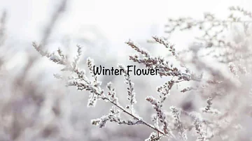 Younha, RM - Winter Flower (Piano Cover)