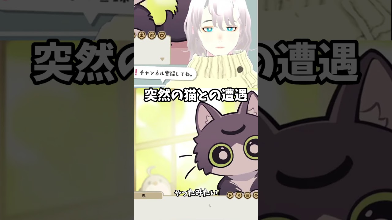 【#夜明けの笛吹き者】突然の猫との遭遇【八柄/ #shorts 】