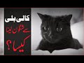 Kali Billi Se Shagoon Lena Aur Naik Shagoon Maulana Ilyas Qadri Kali Billi Se Shagoon Lena Aur Naik Shagoon Maulana Ilyas Qadri