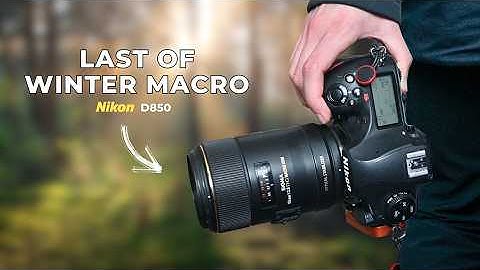 The Last of Winter: A Macro Photo Walk