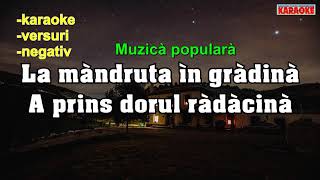 Karaoke - Noaptea, cand rasare luna - Versuri - Negativ [MUZICA MOLDOVENEASCA DE PETRECERE 2024]