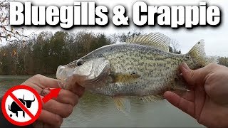 Float Fishing for Bluegills and Crappie with Gulp Minnows and Worms