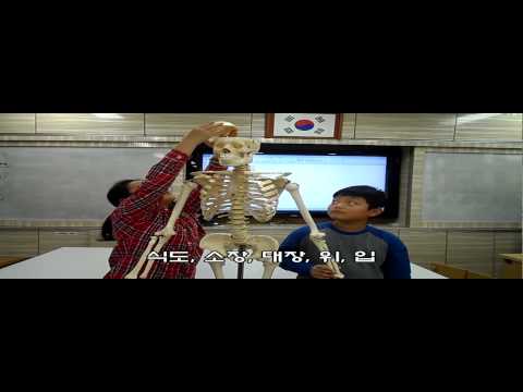 과학송 우리몸