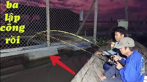 Đi câu cá Sông Tiền - Hai cha con trốn vợ đi câu và cái kết khó tin T117