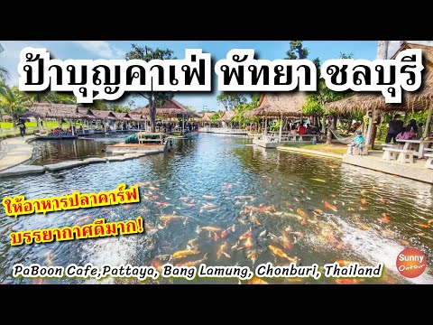 ให้อาหารปลาคาร์ฟที่ "ป้าบุญคาเฟ่" พัทยา บางละมุง จ.ชลบุรี | PaBoon Cafe, Pattaya, Chonburi