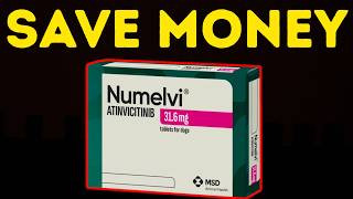 Concerning Side Effects of Numelvi in Dogs