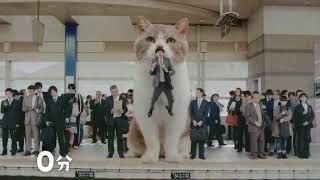 Japanese LOTTE giant cat gum commercial