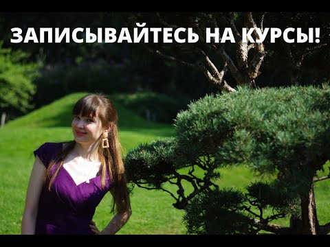 ЗАПИСЬ НА МОИ КУРСЫ!