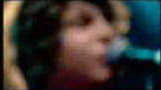 The Kooks - You Don't Love Me (TMF Show)