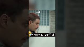 پیکه و گاوی / دوستی پیکه با مادر گاوی