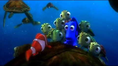 Finding Nemo Sea Turtle (2003)