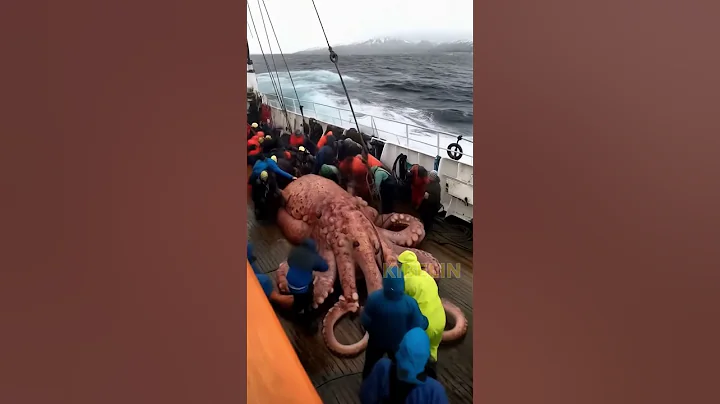 Octopus catch #pacificocean #pacific #fishing #deepsea #ocean #deepocean #octopus #ai