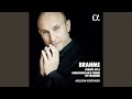 Miniature de la vidéo de la chanson Variations In B Minor, Op. 3: Variation Vi. Scherzando, Molto Vivace