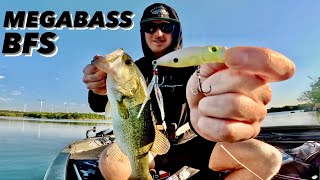 Bait Finesse Topwater & Crankbait Early Summer Action! |Fort Worth Bait Finesse|