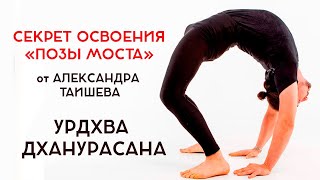 Йога | Асаны на прогиб | Поза моста | Урдхва Дханурасана | Секрет освоения | Таишев Александр