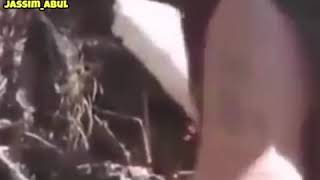 اغنية بحبك يا عقرب مع الفنانة فتحية سمعها