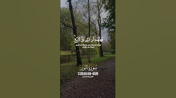 تلاوة خاشعة لآيات من كتاب الله #القرآن_الكريم #الله #اكسبلور #المصحف #foryou #viral #fyp #coran#
