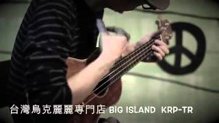 Video thumbnail of "#033 愛情白皮書主題曲_True Love(小郭的烏克世界)"