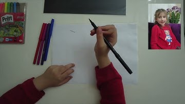 113 numaralı deneyimiz