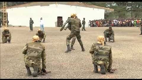 Centrafrique : fin de la coopération militaire avec la France