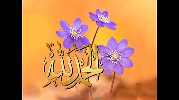 تلاوة خاشعة سورة ق - امام الحرم النبوي الشيخ عبدالمحسن القاسم www.qoranet.net