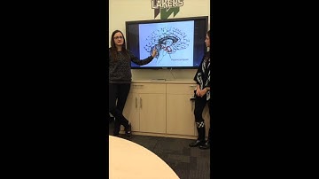 PSYC 1106 Presentation