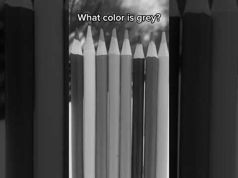 Which Color Is Grey Intuitiontest Challenge Guess Guessthecolor Coloredpencils Intuition