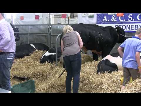 Royal Highland Show
