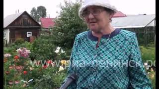 Как превратить шесть соток в тихий оазис знают супруги Шевчуновы видео Оазис среди грядок