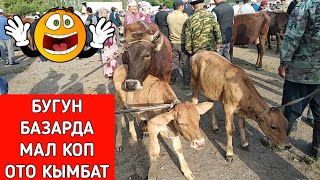 Бугун Базар Өтө Кымбат! Куршаб Мал Базары!