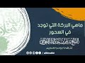 ماهي البركة التي توجد في الس حور لفضيلة الشيخ سليم الخوخي حفظه الله 