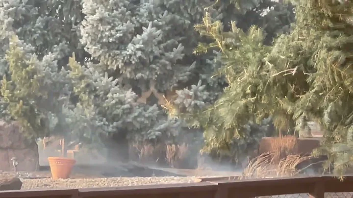 The Marshall Fire - Heather Spicer - 3:27 PM