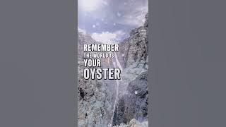 Good Fcking Morning You Walking Disaster of Awesom #motivation #positivity #motivational #love