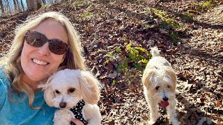 Hiking Devil’s Backbone and Fall Hollow falls