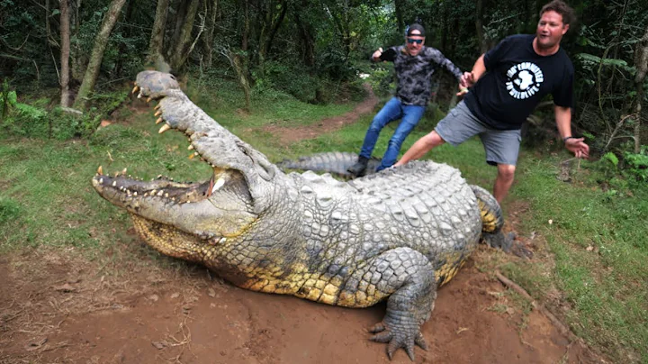 World's Oldest Crocodile Almost Ate Him..