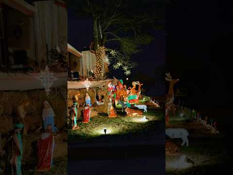 What A Beautiful Decorations 