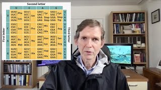 The Genetic Code Part VII: How the Genetic Code Confirms Evolution