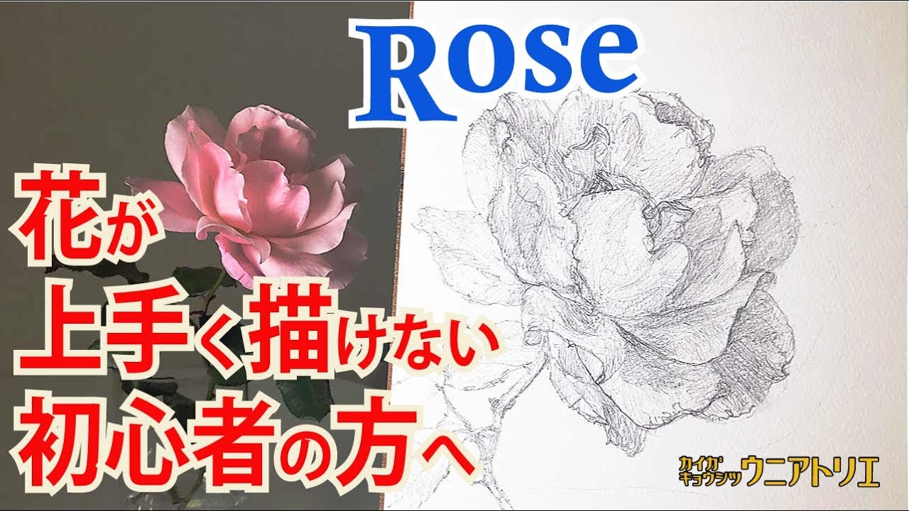 バラの花の描き方 絵画教室の鉛筆デッサン 初心者スケッチ編 字幕付 Youtube