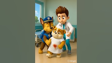Chase and Rubble saved pregnant Everest #pawpatrul #pawpatroltoys #pawpatrol #funny #shorts